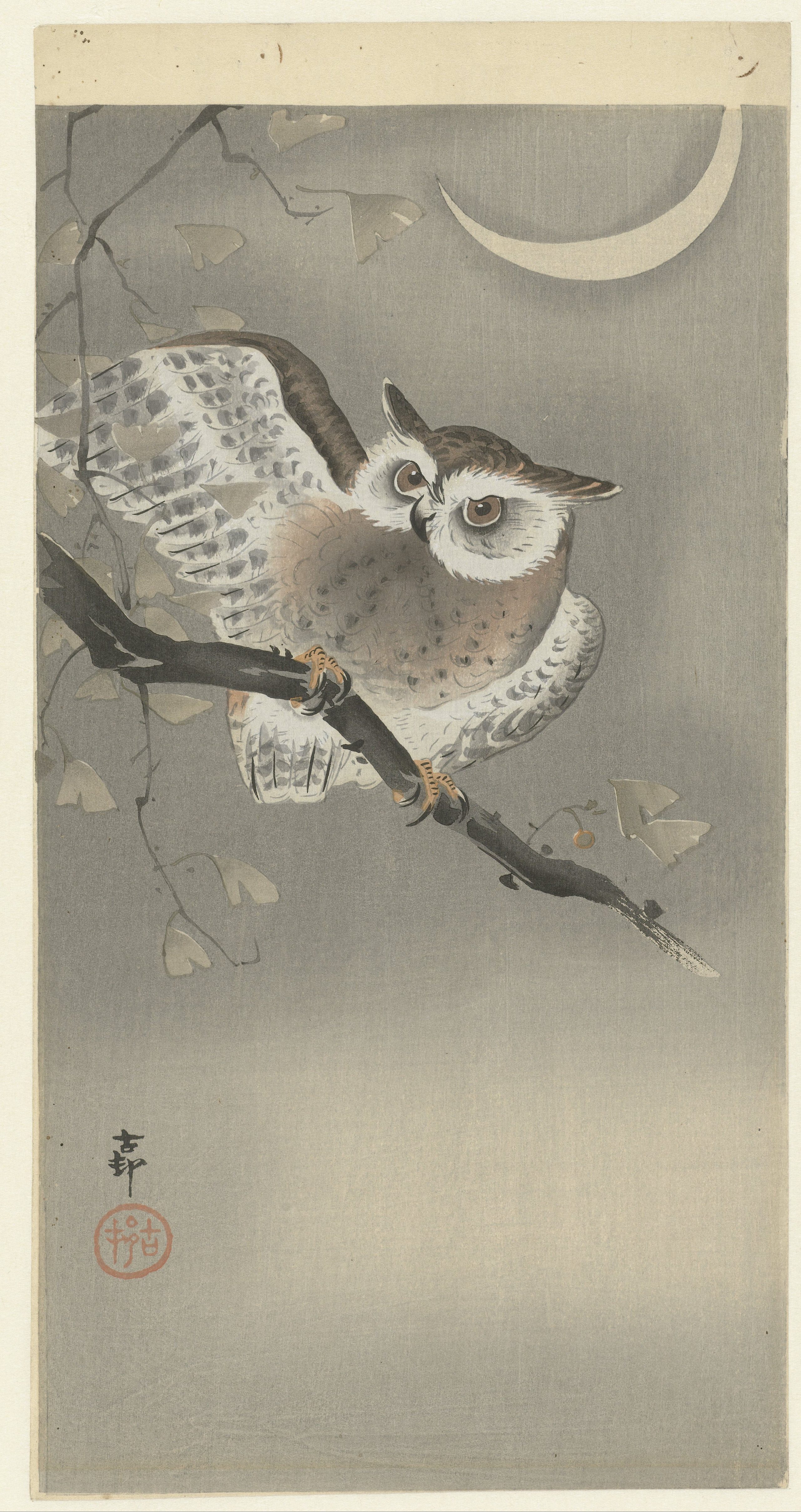 Owl on a Ginkgo Branch by Ohara Koson